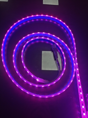 IP65 Waterproof RGBW Flexible LED Strip 24 Voltage DMX 512 Controller Use For Indoor Ceiling Cove Lighting Decorative