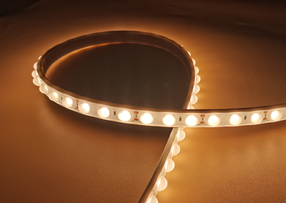 IP65 TPU Flex LED wandwasser SMD2835 SMD3030 Led Lens Strip DMX512